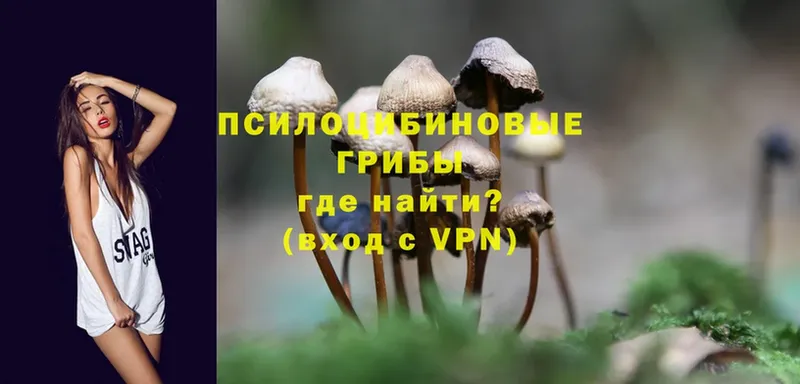 Галлюциногенные грибы MAGIC MUSHROOMS  Алагир 